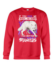 Load image into Gallery viewer, If You Kick Me When I Am Down You Better Pray Trending Sweatshirt