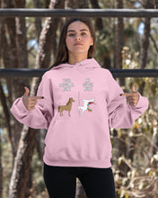 Load image into Gallery viewer, Funny Unicorn Difference Between Your Regular Aunt And My Dutch Aunt Hoodie