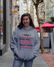 Load image into Gallery viewer, I Didn't Survive Cancer To Die From Stress Breast Cancer Awareness Hoodie

