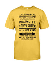 Load image into Gallery viewer, Gift For Husband I'm The Property Of A Freaking Awesome Wife Who Was Born In September Guys Tee
