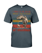 Load image into Gallery viewer, Grandma Gift For Grandson I Tried To Be Good But I Take After Guys Tee
