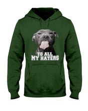 Load image into Gallery viewer, Boxer Lovers To All My Hater Meaningful Gift For Men Hoodie
