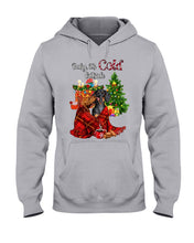 Load image into Gallery viewer, Dachshund Baby It's Cold Outside  Gift For Dog Lovers Hoodie
