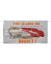 Load image into Gallery viewer, Cat With Red Lips You'll Love Me Forever Gift For Cat Lovers Cloth Face Mask
