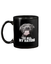 Load image into Gallery viewer, Boxer Lovers To All My Hater Meaningful Gift For Men Mug

