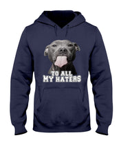 Load image into Gallery viewer, Boxer Lovers To All My Hater Meaningful Gift For Men Hoodie
