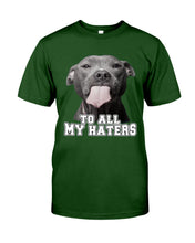 Load image into Gallery viewer, Boxer Lovers To All My Hater Meaningful Gift For Men Guys Tee
