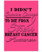 Load image into Gallery viewer, I Didn't Survive Cancer To Die From Stress Breast Cancer Awareness Vertical Poster

