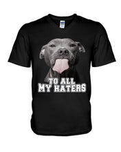 Load image into Gallery viewer, Boxer Lovers To All My Hater Meaningful Gift For Men Guys V-Neck

