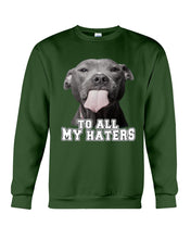 Load image into Gallery viewer, Boxer Lovers To All My Hater Meaningful Gift For Men Sweatshirt

