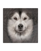 Load image into Gallery viewer, Lovely Phone Case Dog Face Gift For Alaskan Malamute Lovers Coaster
