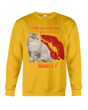 Load image into Gallery viewer, Cat With Red Lips You'll Love Me Forever Gift For Cat Lovers Sweatshirt

