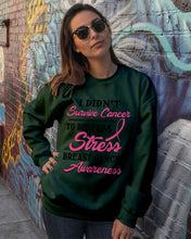Load image into Gallery viewer, I Didn't Survive Cancer To Die From Stress Breast Cancer Awareness Sweatshirt
