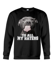 Load image into Gallery viewer, Boxer Lovers To All My Hater Meaningful Gift For Men Sweatshirt
