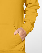 Load image into Gallery viewer, April Birthday Girl The One Where I Was Quarantined 2020 Hoodie
