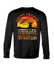 Load image into Gallery viewer, Agent Orange In Panama Historical Gifts Sweatshirt
