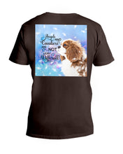 Load image into Gallery viewer, Angels And Shih Tzu Are Not Different Gift For Dog Lovers Guys V-Neck
