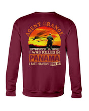 Load image into Gallery viewer, Agent Orange In Panama Historical Gifts Sweatshirt
