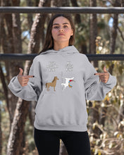 Load image into Gallery viewer, Funny Unicorn Difference Between Your Regular Aunt And My Dutch Aunt Hoodie
