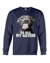 Load image into Gallery viewer, Boxer Lovers To All My Hater Meaningful Gift For Men Sweatshirt
