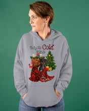 Load image into Gallery viewer, Dachshund Baby It's Cold Outside  Gift For Dog Lovers Hoodie
