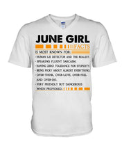 Load image into Gallery viewer, June Girl Facts Very Friendly But Dangerous Custom Design Guys V-Neck
