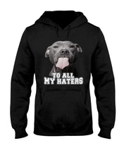 Load image into Gallery viewer, Boxer Lovers To All My Hater Meaningful Gift For Men Hoodie

