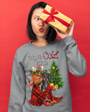 Load image into Gallery viewer, Dachshund Baby It's Cold Outside  Gift For Dog Lovers Sweatshirt
