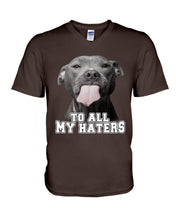 Load image into Gallery viewer, Boxer Lovers To All My Hater Meaningful Gift For Men Guys V-Neck
