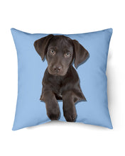 Load image into Gallery viewer, Labrador Retriever Custom Design Gift For Labrador Retriever Lovers Pillow Cover
