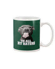 Load image into Gallery viewer, Boxer Lovers To All My Hater Meaningful Gift For Men Mug
