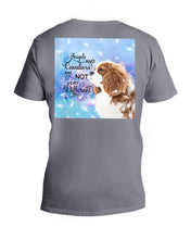 Load image into Gallery viewer, Angels And Shih Tzu Are Not Different Gift For Dog Lovers Guys V-Neck
