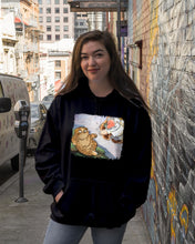 Load image into Gallery viewer, Fun Story Cat Gift For Cat Lovers Hoodie
