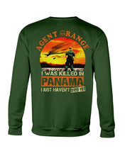 Load image into Gallery viewer, Agent Orange In Panama Historical Gifts Sweatshirt
