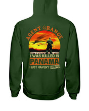 Load image into Gallery viewer, Agent Orange In Panama Historical Gifts Hoodie
