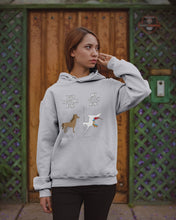 Load image into Gallery viewer, Funny Unicorn Difference Between Your Regular Aunt And My Dutch Aunt Hoodie
