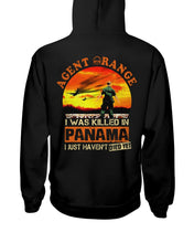 Load image into Gallery viewer, Agent Orange In Panama Historical Gifts Hoodie
