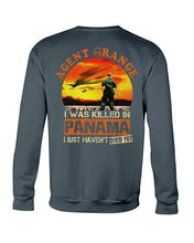 Load image into Gallery viewer, Agent Orange In Panama Historical Gifts Sweatshirt

