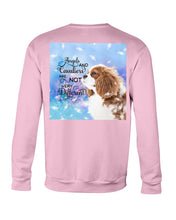 Load image into Gallery viewer, Angels And Shih Tzu Are Not Different Gift For Dog Lovers Sweatshirt
