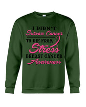 Load image into Gallery viewer, I Didn't Survive Cancer To Die From Stress Breast Cancer Awareness Sweatshirt
