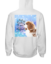 Load image into Gallery viewer, Angels And Shih Tzu Are Not Different Gift For Dog Lovers Hoodie
