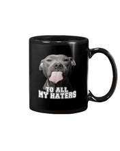 Load image into Gallery viewer, Boxer Lovers To All My Hater Meaningful Gift For Men Mug
