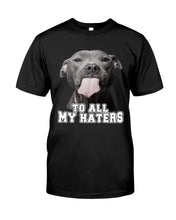 Load image into Gallery viewer, Boxer Lovers To All My Hater Meaningful Gift For Men Guys Tee
