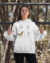 Load image into Gallery viewer, Funny Unicorn Difference Between Your Regular Aunt And My Dutch Aunt Hoodie
