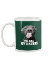 Load image into Gallery viewer, Boxer Lovers To All My Hater Meaningful Gift For Men Mug
